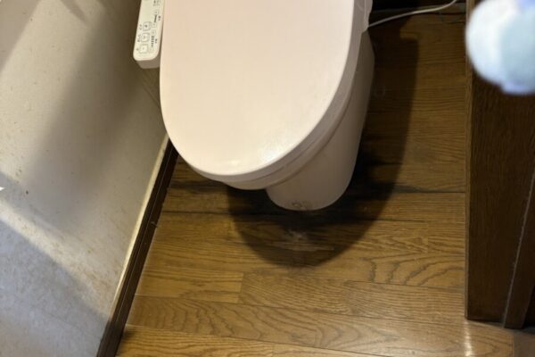 便器入替え工事